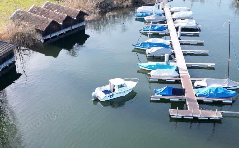 WhatsApp Image 2026 01 28 at 19.32.13